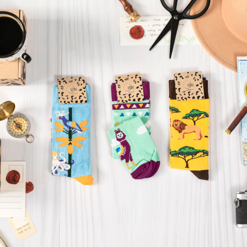 42-46 lwy lamy camper.png