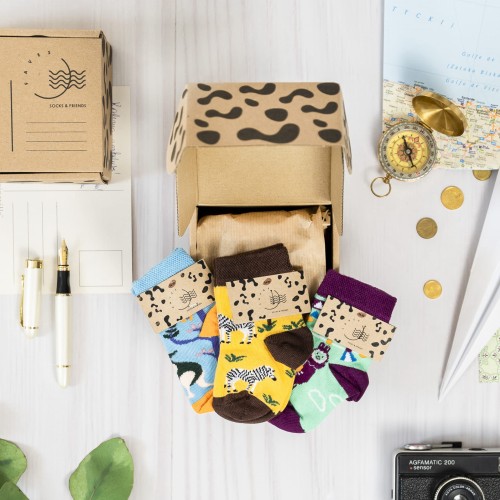 14-25 zebry kangury lamy.jpg