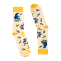 S_20220218_s1_BT_v1_min.jpg.png