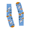 S_20220218_s5_BT_v2_min.png