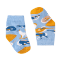 S_20220311_S01_v2_BT_min.png