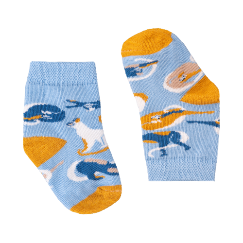 S_20220311_S01_v2_BT_min.png