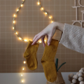 25_M6.png