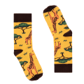 13_3Z.png