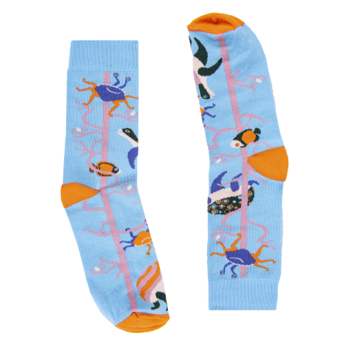 17_3.png