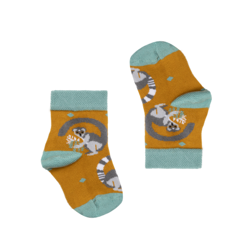 5.png