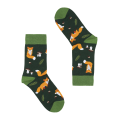 11_Lisy_dorosle.png
